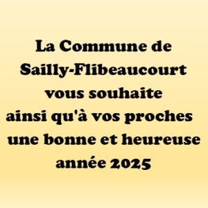 Lire la suite à propos de l’article Meilleurs vœux 2025